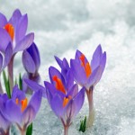 iStock_000009122145Small