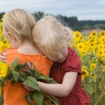 iStock_000007474755Small
