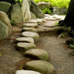 iStock_000009647548Small