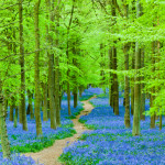 iStock_000005852491Small