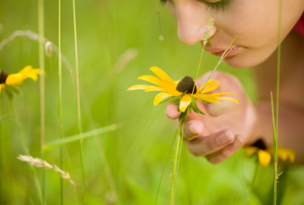 iStock_000007020858Small