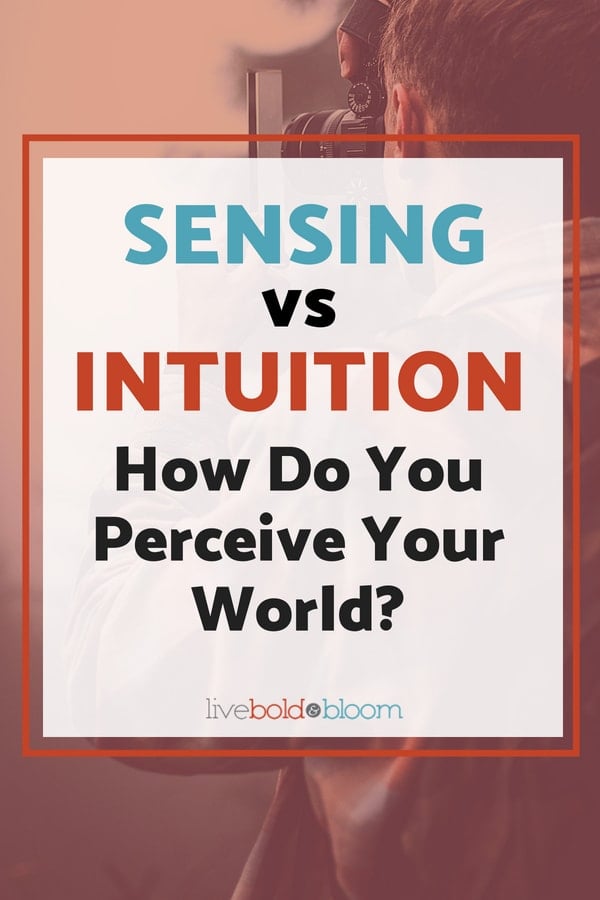 Sensing Vs  Intuitive Personality Type - 99