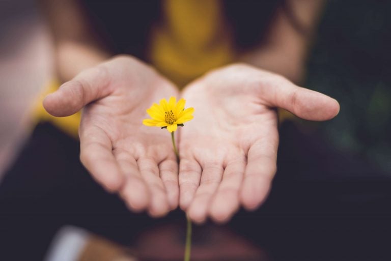 hands with flower, eckhart tolle quotes